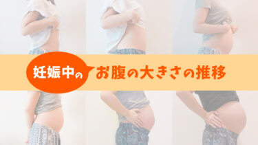 妊娠初期〜臨月までお腹の大きさの推移【写真多数】